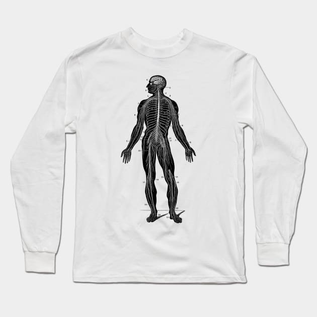 Human Lymphatic System - Vintage Anatomy Long Sleeve T-Shirt by Vintage Anatomy Prints